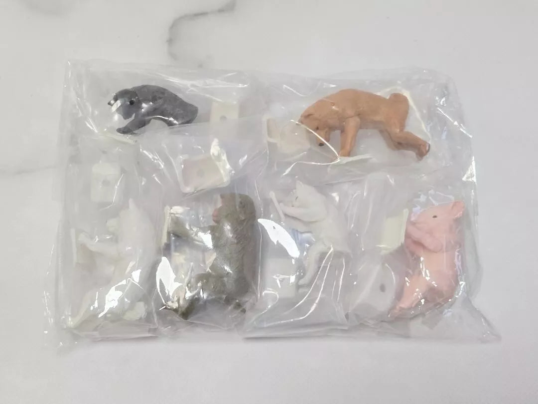 Bandai Capsule Toy - Animals Sento Bath [All 6 type set(Full Complete)]