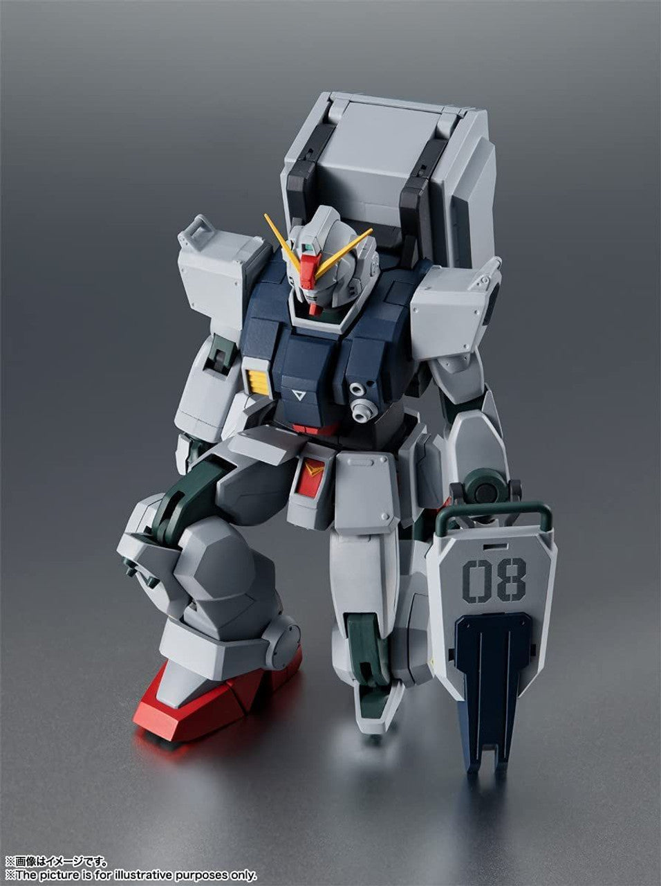 Bandai Robot Spirits (Side MS) RX-79(G) Gundam Ground Type ver. A.N.I.M.E. Figure