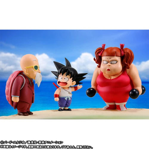 BANPRESTO DRAGON BALL WORLD COLLECTABLE FIGURE PREMIUM-Kame House